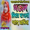 Nobir Rowja Shorif Dekhe Mon Bhorena